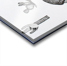 Desert Animals Acrylic print