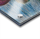 Night Pumpkin Acrylic print