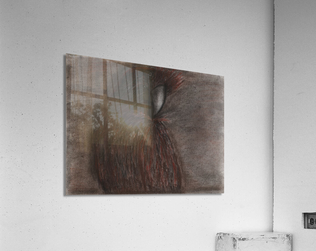 Tropical Bird Acrylic Print