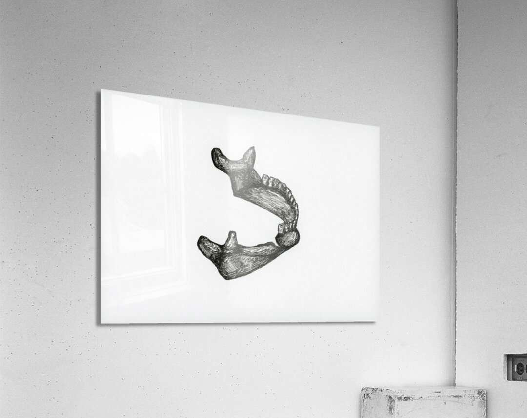 Broken Jaw Acrylic Print
