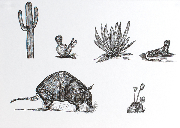 Desert Animals by Jon David