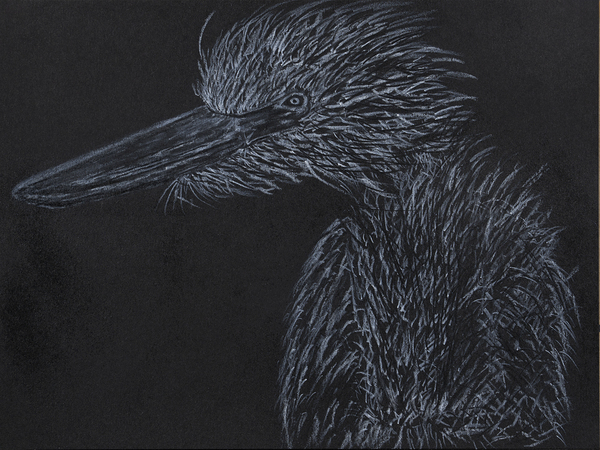 Crane 2 by Jon David