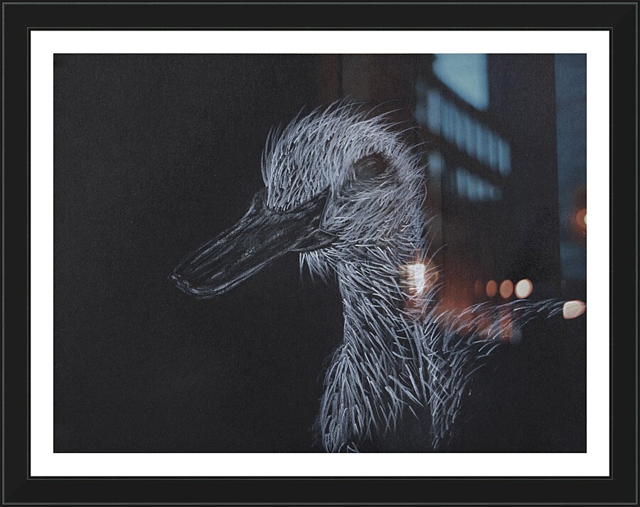 Duck Picture Frame Printing