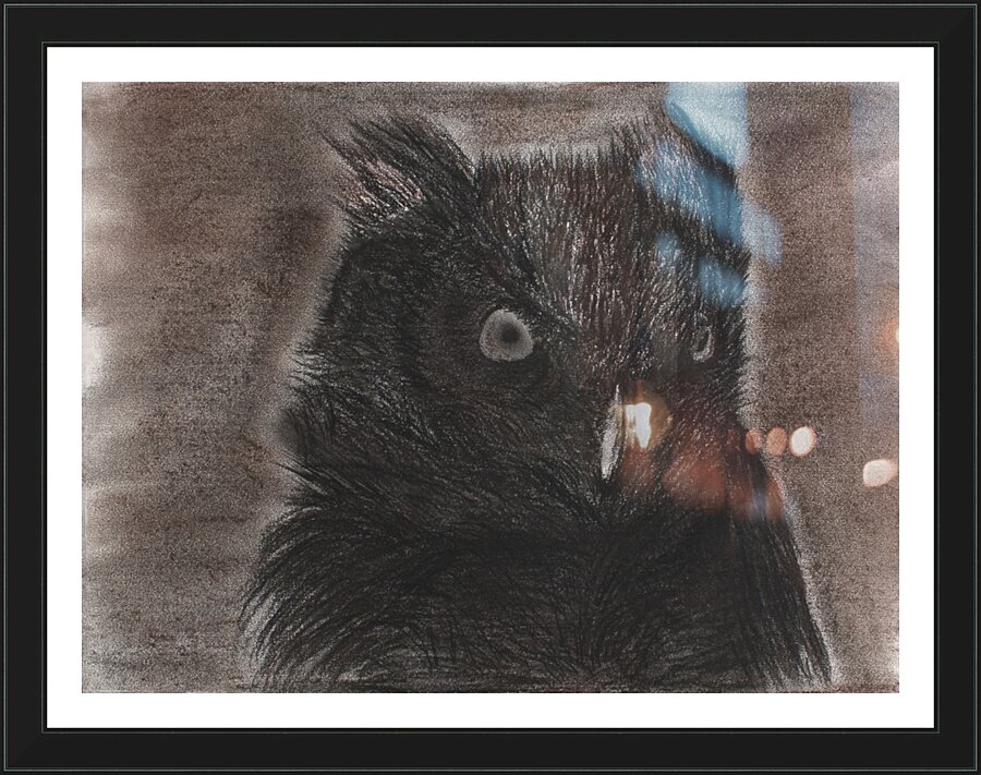 Owl 1 Picture Frame Printing