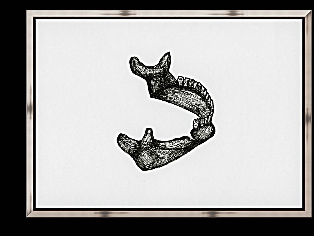 Broken Jaw Reproduction