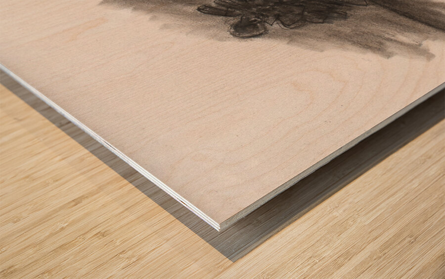 Christmas Still Life 2 Wood print